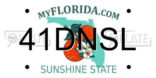 41DNSL Florida License Plate