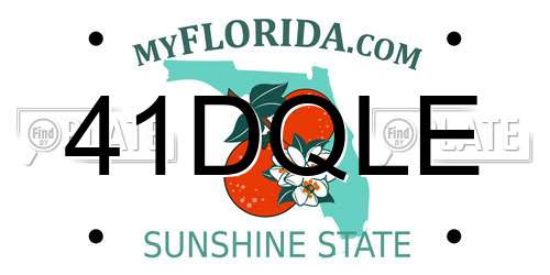 41DQLE Florida License Plate