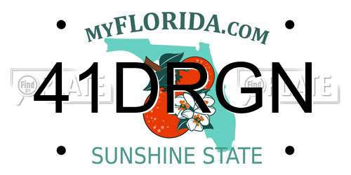 41DRGN Florida License Plate
