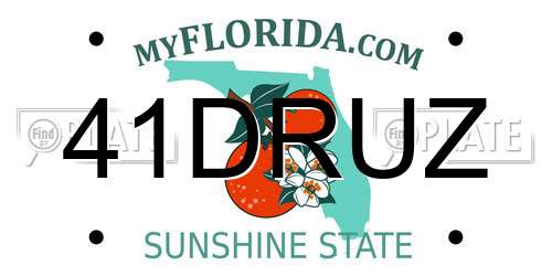 41DRUZ Florida License Plate