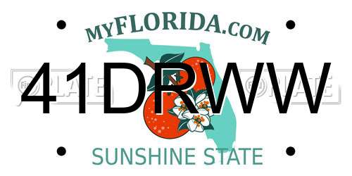 41DRWW Florida License Plate
