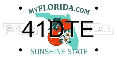 41DTE Florida License Plate