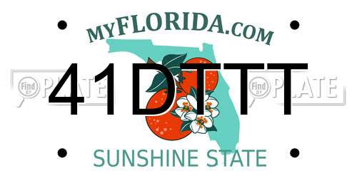 41DTTT license plate in FL state