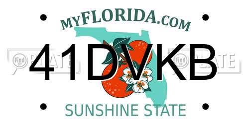 41DVKB Florida License Plate