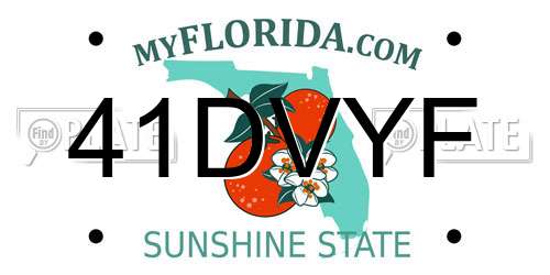 41DVYF Florida License Plate