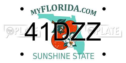 41DZZ Florida License Plate