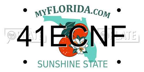 41ECNF Florida License Plate