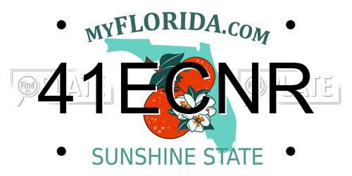 41ECNR Florida License Plate