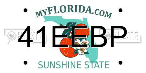 41EEBP Florida License Plate