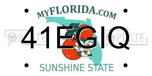 41EGIQ Florida License Plate