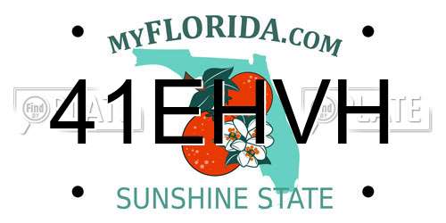 41EHVH Florida License Plate