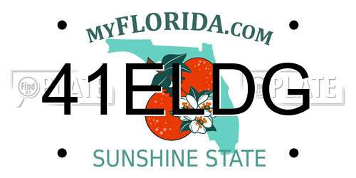 41ELDG Florida License Plate