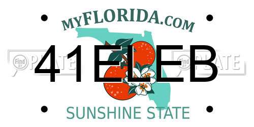 41ELEB Florida License Plate