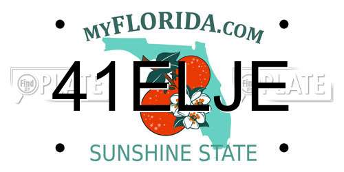 41ELJE Florida License Plate