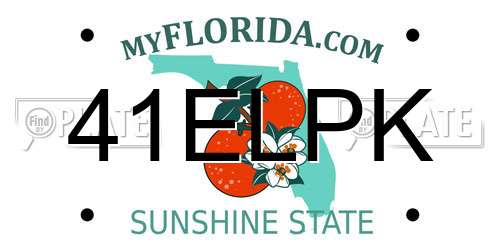41ELPK Florida License Plate