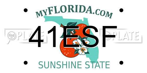 41ESF Florida License Plate