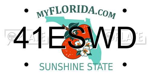 41ESWD Florida License Plate