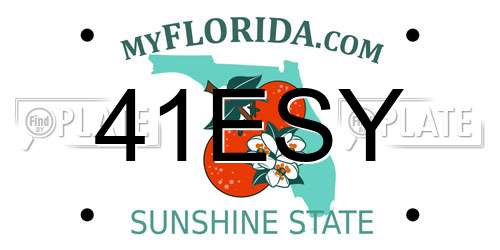 41ESY Florida License Plate