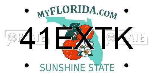 41EXTK Florida License Plate