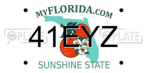 41EYZ Florida License Plate