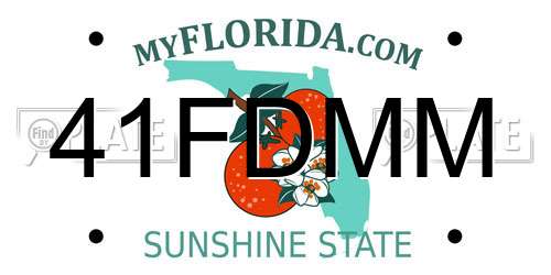41FDMM Florida License Plate