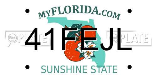 41FEJL Florida License Plate