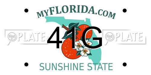 41G Florida License Plate