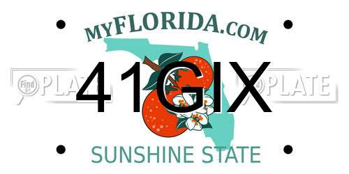 41GIX Florida License Plate