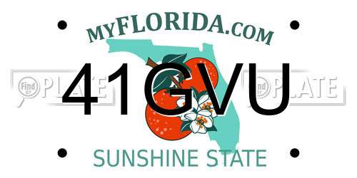 41GVU Florida License Plate