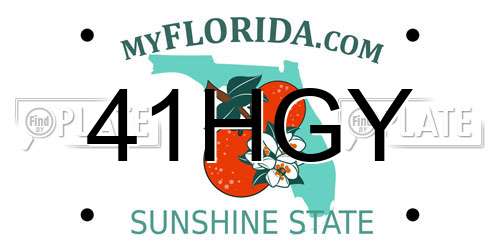 41HGY Florida License Plate