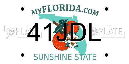 41JDL Florida License Plate