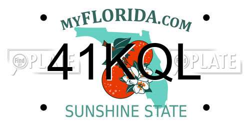 41KQL Florida License Plate
