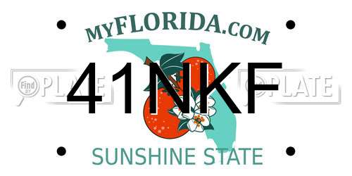 41NKF Florida License Plate