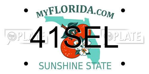41SEL Florida License Plate