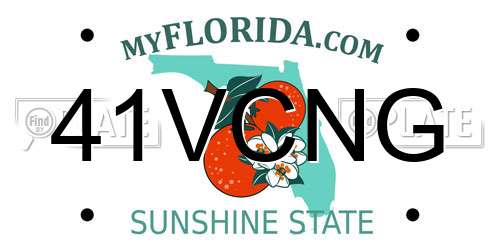 41VCNG Florida License Plate