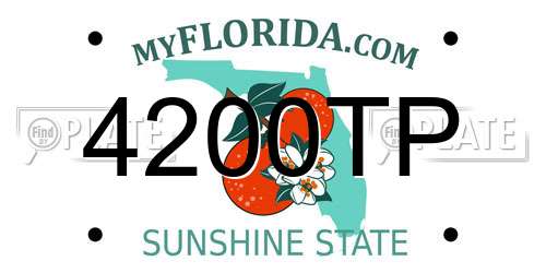 4200TP Florida License Plate