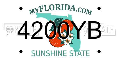 4200YB Florida License Plate