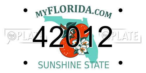 42012 Florida License Plate