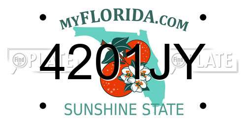 4201JY Florida License Plate