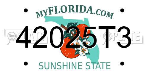 42025T3 Florida License Plate