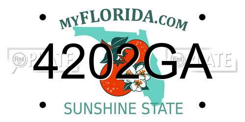 4202GA Florida License Plate