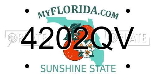 4202QV Florida License Plate