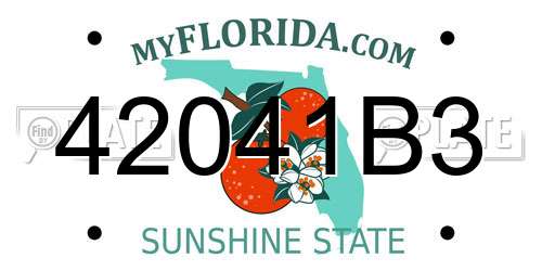 42041B3 Florida License Plate