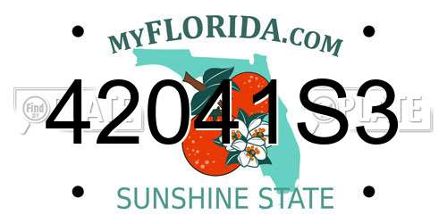 42041S3 Florida License Plate