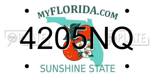 4205NQ Florida License Plate
