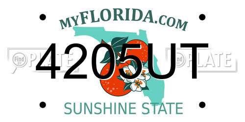 4205UT Florida License Plate