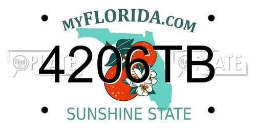 4206TB Florida License Plate