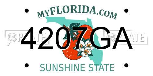 4207GA Florida License Plate