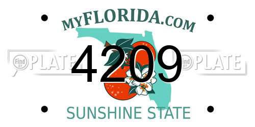 4209 Florida License Plate