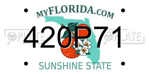 420P71 Florida License Plate